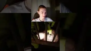 Escape the Backrooms | Не дают пройти