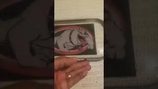 Roll Up On Georgia Bull Dog