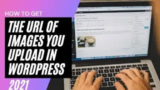 How to Get the URL of Images You Upload in WordPress