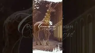 С рождеством! 
