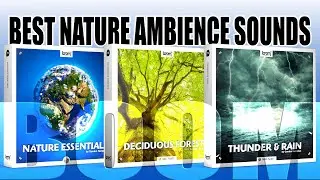Boom Library QUIET PLANET: NATURE ESSENTIALS  - DECIDUOUS FORESTS - THUNDER & RAIN