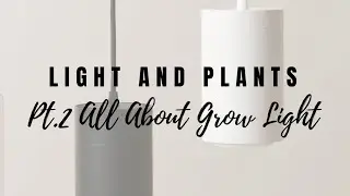 Light and Plants: Part 2 - All About Grow Light