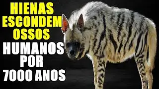 HIENAS ATACANDO HUMANOS????