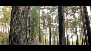 Сентябрь, лесная симфония