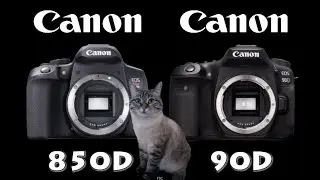 Canon EOS 850D / Rebel T8i vs Canon 90D
