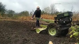 Осіння культивація під часник