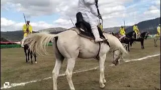 شاهد.....رقصة احيدوس والفرس يتناغم معها
