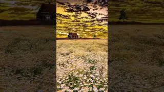 suraj ke dubte 🌝🌝#stutas #whatsappstatus #viral #video #shorts