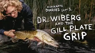 Fly fishing for Baltic River Pike.
