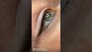 Soft Liner 
