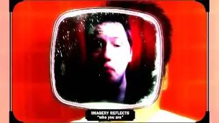 Imagery Reflects 