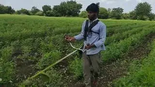 ತೊಗರಿ ಕುಡಿ ಕಟ್ಟಿಂಗ | tur kudi cutting | tur shende khudni | Tur nipping using brush cutter