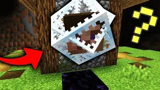 END CRYSTAL + MY HEAD = ?!
