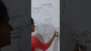 Exchange of Co2- Vijita Shama#views #biology #ytshorts #doctor #neet #subscribe #like