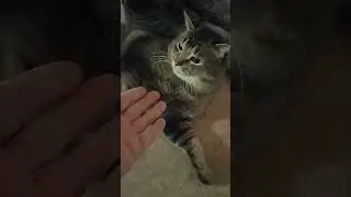 не трогай меня 💚💗💗 