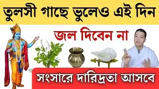 Rules for watering Tulsi plants || Tulsi Plant Care Tips