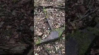 находка на копе