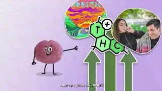 קנאביס, מה כדאי שנדע