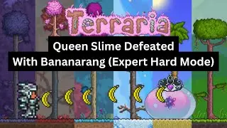 #Terraria