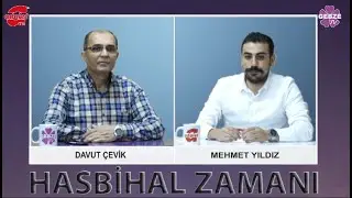 Üniversite, Staj, İstihdam