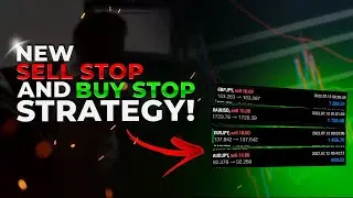 New Buy Stop and Sell Stop Strategy! (4 Trades 4 Wins In 1 Hour)