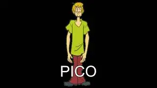 SHAGGY ES PICO
