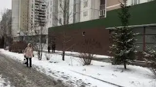 Грина обзорное