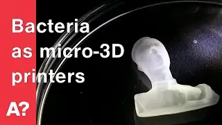 Scientists use bacteria as micro-3D printers