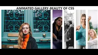 html and css- Animated Gallery Design-The beauty of CSS