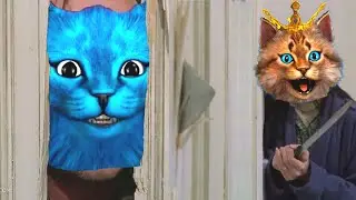 КОГДА ВЕСЁЛЫЙ КОТ РАЗОЗЛИЛ КОТЁНКА ЛАЙКА😂 