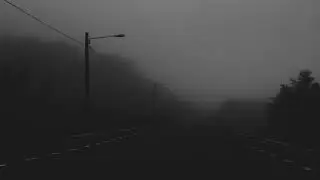 Vines - Lungs but it is the loneliest night