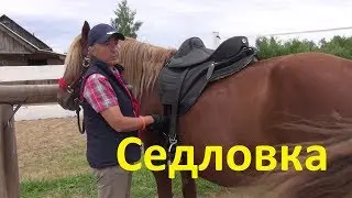 Как седлать лошадь
