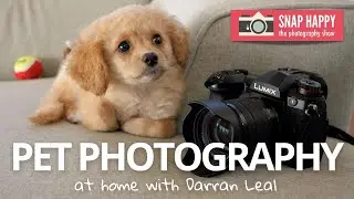 Photographing your pets at home with Darran Leal