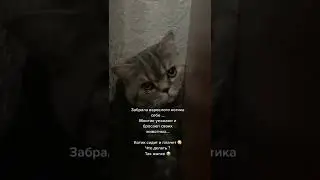 жалко его... 