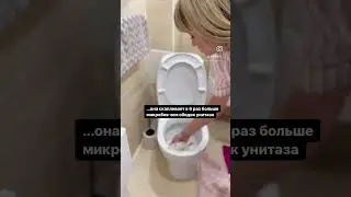 12 июня 2023 г.