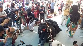 Barongan macan makan manusia