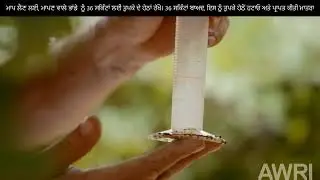 Drip irrigation monitoring- with Punjabi captions ਤੁਪਕਾ ਸਿੰਚਾਈ ਦੀ ਨਿਗਰਾਨੀ ਦਾ ਪ੍ਰਦਰਸ਼ਨ ਕਰਨ ਵਾਲੀ ਵੀਡੀਓ