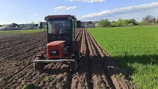Нарезка борозд!Протравка семян картофеля!Посадка лука!