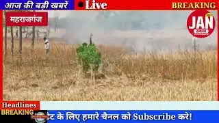 रामपुर बलडीहा के सिवान में शॉर्ट सर्किट से लगी भीषण आग, लगभग 1 बीघा फसल जलकर राख