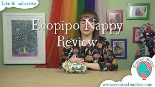 Ecopipo V2 Birth to Potty Nappy Review