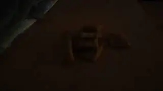 самая популярная народная еда 21 века в РФ