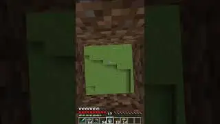 Minecraft Loop 😂 