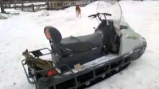 Петля на зайца