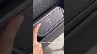 Dandanin mobil panda mini🐼