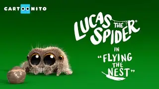 Lucas the Spider - Flying The Nest - Short