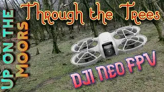 DJI Neo FPV - Up on the moors, weaving through the trees!