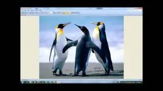 How to Resize Picture with @Microsoft Office Picture Manager-Easy Tip