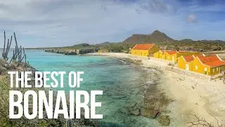 The best of Bonaire