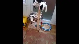 Tammy and Tia (Wrong Way Up for fun)