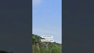 Laçın